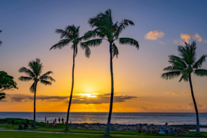 Organiser son voyage à Hawaï: le moins américain des états