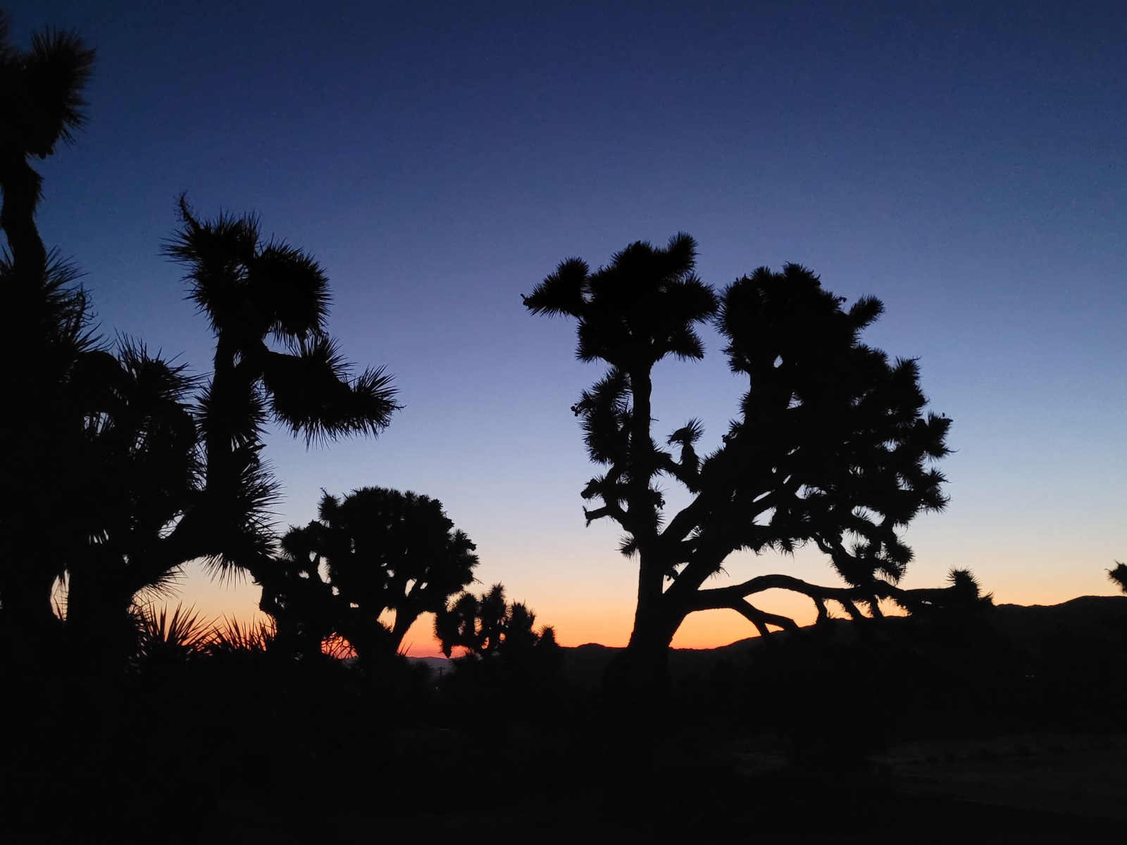 Organiser son voyage en Californie : la destination iconique de l’Ouest américain