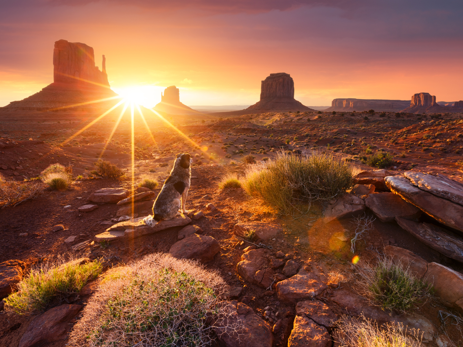 Organiser son voyage en Arizona : The Grand Canyon state