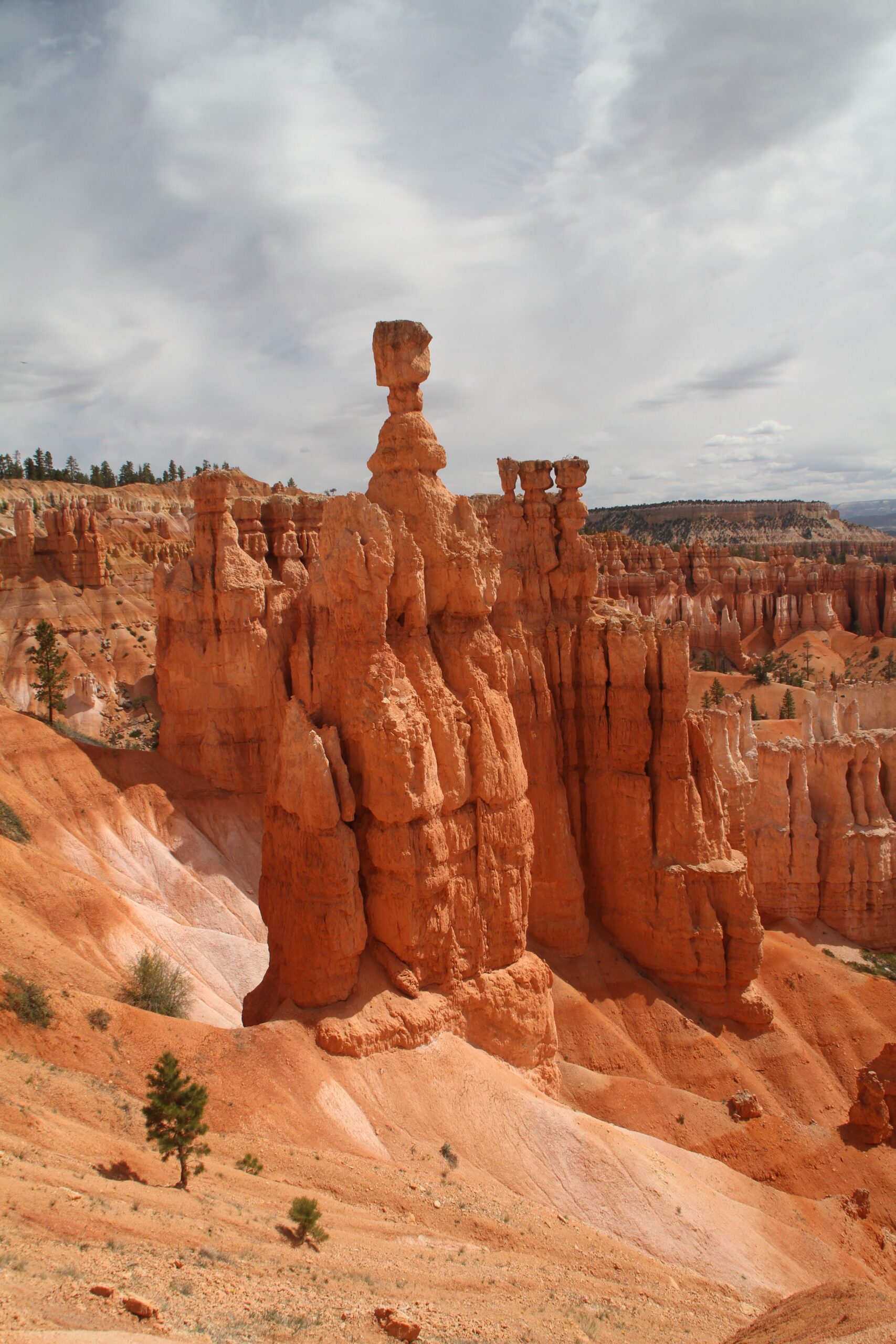 passionnement evasion road trip sur mesure ouest américain Bryce Canyon