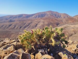 Lanzarote en 1 semaine : itinéraire, budget et conseils